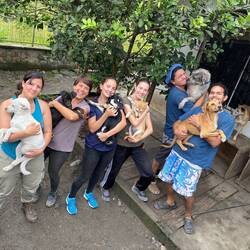 Das Team und die Puppies