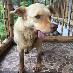 Da geht leider der Unterkiefer nicht mehr richtig zu ☺️