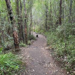 The trek back down seemed a little easier