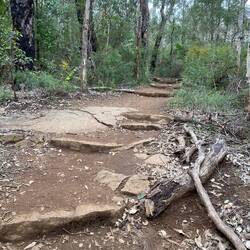 The start of the trek up