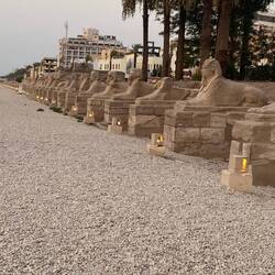 Valley of the sphinx - 1200 of them on each side stretching 3 miles - from Karnak to Luxor