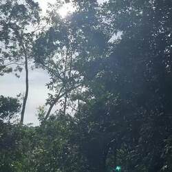 Ingnoriered üsi Unordnig 😚