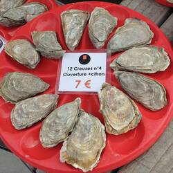 Austern sind leider nicht unser Ding 🥴