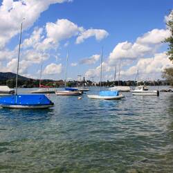Zürichsee