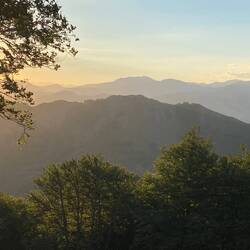 Early morning views from Alburgue Borda.