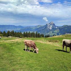 Aufstieg Klingenstock