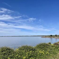 A memory from my morning run in Streaky Bay 💛