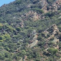 No idea what this statue is.. Just before Worcester