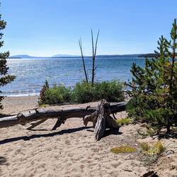Yellowstone lake - a little beach and not too cold to swim (I guess by putting my finger in)