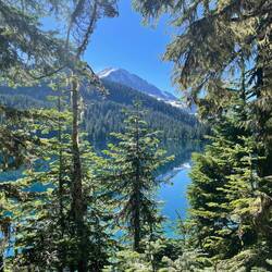 Mount Rainier im Hintergrund