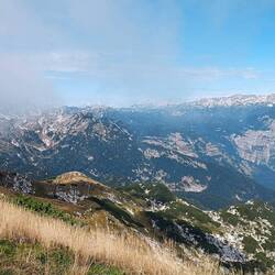 Vogel Gipfel im Nebel