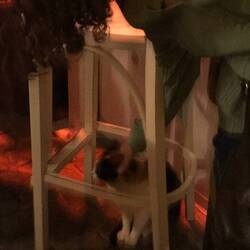 édith je te jure elle a dit qu'elle voulait adopter un chat