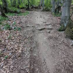 C'est là que j'ai glissé