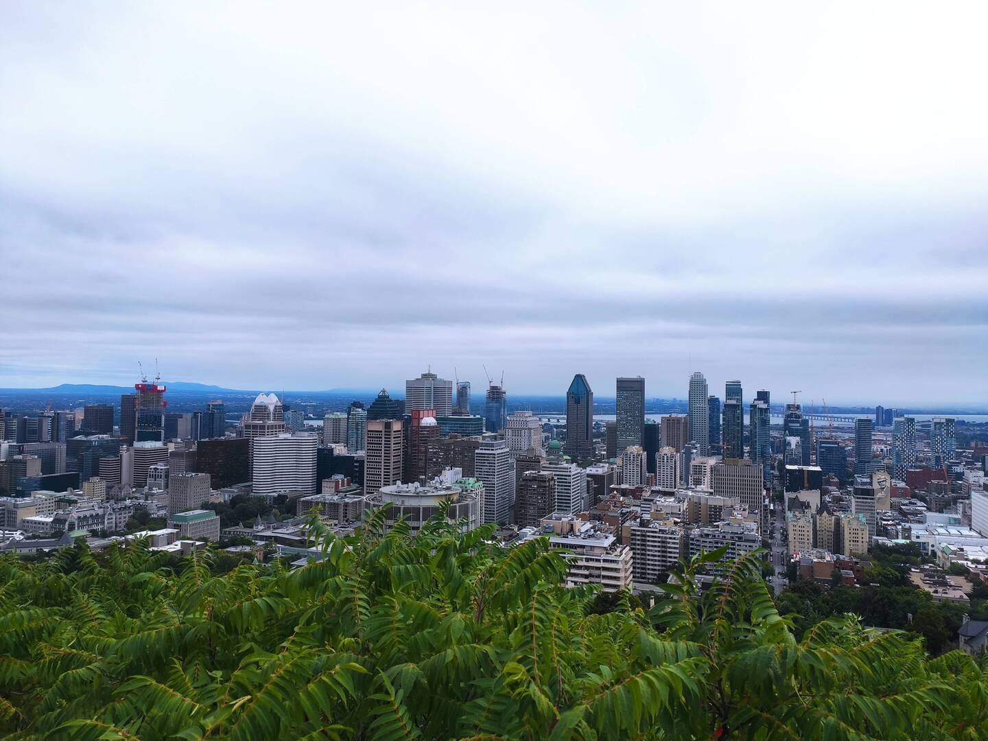 En lo alto Mont-Royal