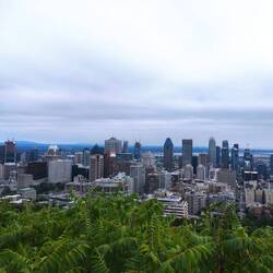 En lo alto Mont-Royal