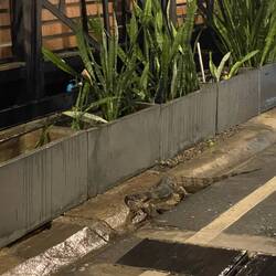 Und er sucht ein Zimmer 😂, latscht einfach mal so durchs Hotel