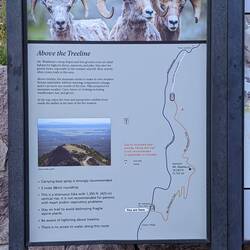Yellowstone - Mount Washburn trail