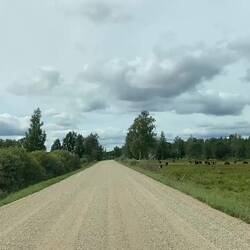 Way to the national park