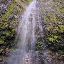 Der Waimoku-Wasserfall.