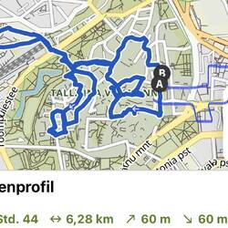 The last hour walking wasnt tracked so i added it :)