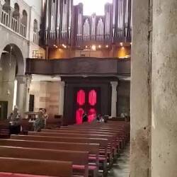 Organ concert inside Cathedral of St. Anastasia