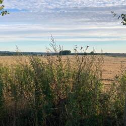 Landschaft drum herum