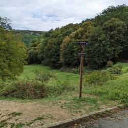 Two roads diverged in a wood and I...found the way back to the car park