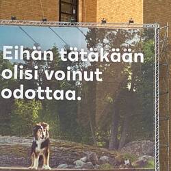 "Ich kaufe ein Ä!"