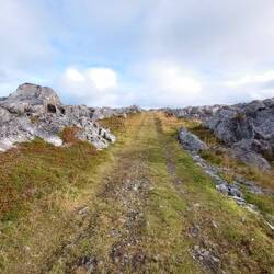Der Weg zum Bunker