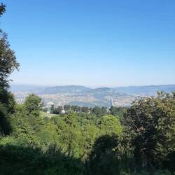 Blick über die Stadt