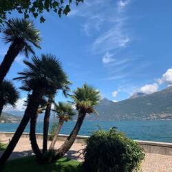 Scene from the walking path