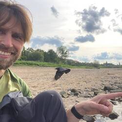 Elbufer mit kleiner Stresskrähe