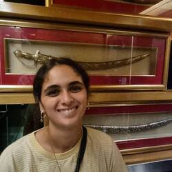 מעלית מרוצפת חרבות