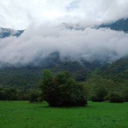 Blick aus dem Bus