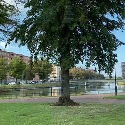 Reminds me of Berlin's Landwehrkanal 😀