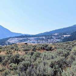 Mammoth Hot Springs from the distance of the Beaver Ponds Trail