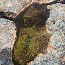 Crystal clear water on top of the humps