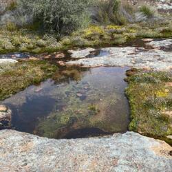 Crystal clear water on top of the humps
