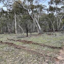 Mooralla .. a good place to get lost and bogged in one go.