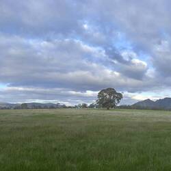 Western Grampians in the distance
