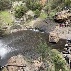 We've definitely noticed the crowds more.