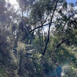 Rocks could never be more interesting