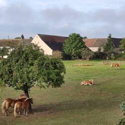 letzter Blick vom Balkon