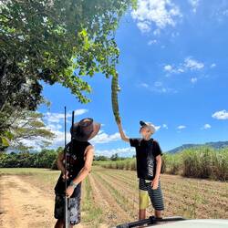 Yay, i found a matchbox seed pod