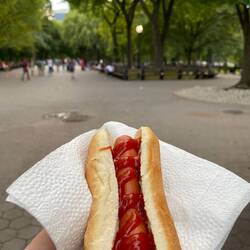A hot dog in central park 🤭