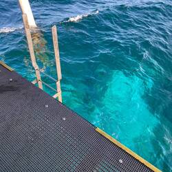 The view from under the jetty