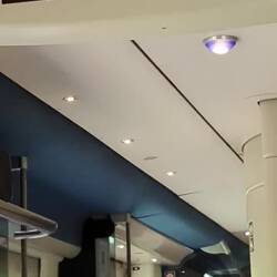 Whew, I'm on the right train