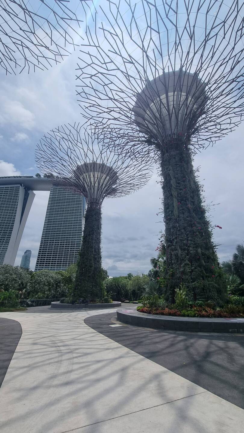 Silver Garden