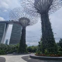 Silver Garden
