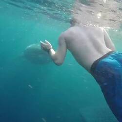 Meine Goprovideos konnte ich leider noch nicht runterladen😢